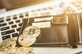 Things You Should Know About Crypto Wallets Before Storing Cryptocurrency