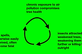 Nature “Reclaiming” Itself