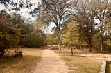 A dirt trail leads through trees.
