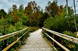 Let’s talk about a nature hike experience