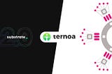 Ternoa, la blockchain qui se cache derrière le projet.