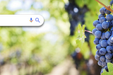 Google it: Natural Wine