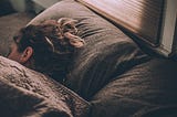 5 Essential Things We Do When We Sleep