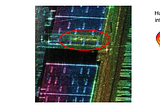 Why Radar Interferometric Phase Contains More Than You Think