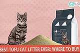Best Tofu Cat Litter Ever