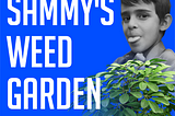 Sammy’s Weed Garden: Discovering Unexpected Beauty