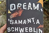 Book Review: ‘Fever Dream' by Samanta Schweblin