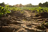 Soil erosion in farming and agriculture