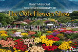 Don’t Miss Out The Nature’s Beauty at “The Ooty Flowers Show” From May 17 to May 22, 2024