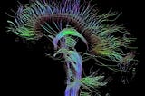 Neural Science Series, A Gentle Introduction