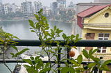 Finding the Good in “the World’s Most Polluted City”