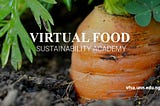 UNN-Virtual Food Sustainability Academy (VFSA) launches officially