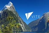 Vite Bi-Weekly Report