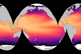 Map of sea surface temperature for July 30, 2024. Cold ocean water (surrounding Antarctica) is near black, cool water (in the Southern Ocean and North Atlantic)is purple, warmer water (near the Equator) is orange, and the hottest water (in the Red Sea and Persian Gulf)is yellow. The map is in the Interrupted Goode Homolosine (Oceanic View) projection.