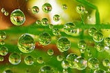 Dewdrops: miniature worlds