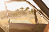 We are looking out of an open car door at a blurry wild landscape, while golden sunshine pours in.