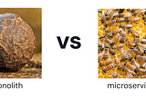 Monolith vs. Microservices: When to use one or the other