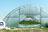 Utilizing Tarps in Gardening and Agriculture