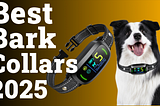 Best Bark Collars | Top 5 Bark Collars 2025