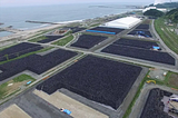 = Tokyo Olympics 2020: Radioactive honey from Fukushima flowers as a bigger environmental warning =