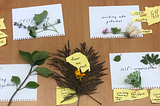 Four sheets of white paper spread across a wooden desk, with plant cuttings strewn across them. The sheets of paper read Reciprocity, Working with potential, Self-organisation, and Living Systems. Smaller yellow pieces of paper sit alongside the white paper, with labels of bush food ingredients such as aniseed myrtle and saltbush.