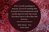 Image: Background — Red, maroon, oxblood and pink speckled background that looks like a rust formation. Maroon text box with white text. Text: If it’s worth anything to anyone, if you’re reading this in need of encouragement, pick up the shovel, start the work. You don’t have to live like this forever. “Self-Harm — Ten Years Later”