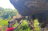 The Wild Magic of Animal Kingdom