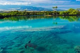 Best Time to Visit Maui: Discover the Perfect Time for Your Hawaiian Adventure