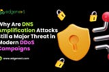 Why Are DNS Amplification Attacks Still a Major Threat in Modern DDoS Campaigns