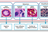 Deep learning for digital pathology image analysis — Technical Paper Summary and Pipelines