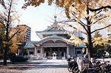 Ginkgo Views in Tokyo