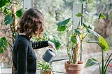 Women waters a plant by a sunny window