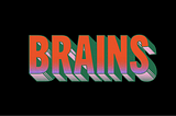 Brains Agency in Review 2024