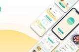 4 — WELLNESS APP