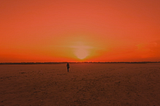 Could climate change be rensponsible for the origins of Covid-19?