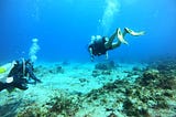 Rincon, Puerto Rico-Because.
