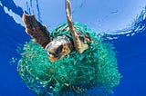 Using Plastic Taxes to Fund Ocean Projects