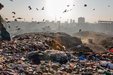 Plastic Pollution: A Human Crisis