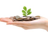 How to Grow your Money Tree.