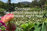 Context — the critical decider of your career right now