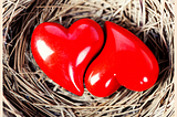 Two heart shaped red images, snuggly fitting together in a birds nests, representing oneness and compatibility in love.