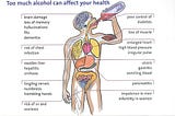 Effects Of Alcohol On Our Body — Brazos Minshew