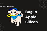 Unfixable Bug found in Apple Computers