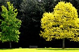 Arbor Day Is The Only Holiday That Matters. Period.