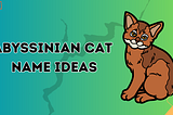 100 Abyssinian Cat Name Ideas