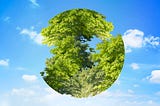 Responsibility for the Future: CarbonEmit and the Importance of Carbon Footprint Management