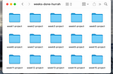 Screenshot of a folder with 15 completed projects
