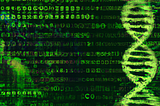 Genetic Disorder Prediction: