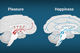 Dopamine vs Serotonin