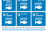 The UN Ocean Conference from the eyes of a cautious optimist